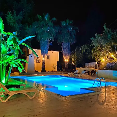 Gera Adonis Kemer